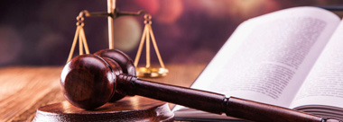 律師動(dòng)態(tài)